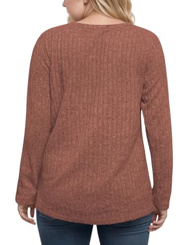 DOLNINE Women's Plus-Size-Tops Long Sleeve Comfy Crewneck Shirts Lightweight Casual Loose Fit Sweatshirts Tunics XL-5XL
