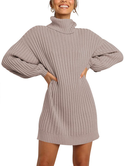 ANRABESS Women Oversized Sweater Dress Turtleneck Batwing Long Sleeve Ribbed Knit Loose 2024 Fall Winter Casual Short Dress