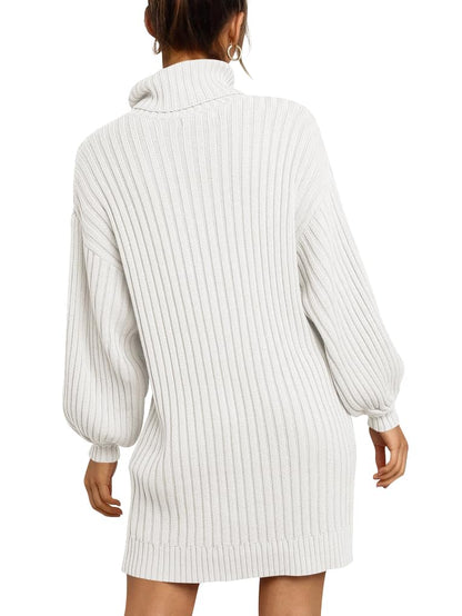 ANRABESS Women Oversized Sweater Dress Turtleneck Batwing Long Sleeve Ribbed Knit Loose 2024 Fall Winter Casual Short Dress