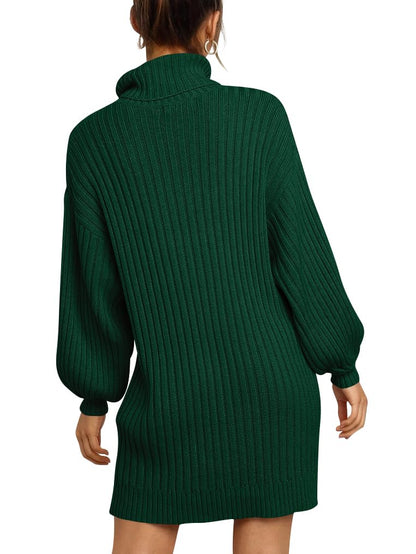 ANRABESS Women Oversized Sweater Dress Turtleneck Batwing Long Sleeve Ribbed Knit Loose 2024 Fall Winter Casual Short Dress