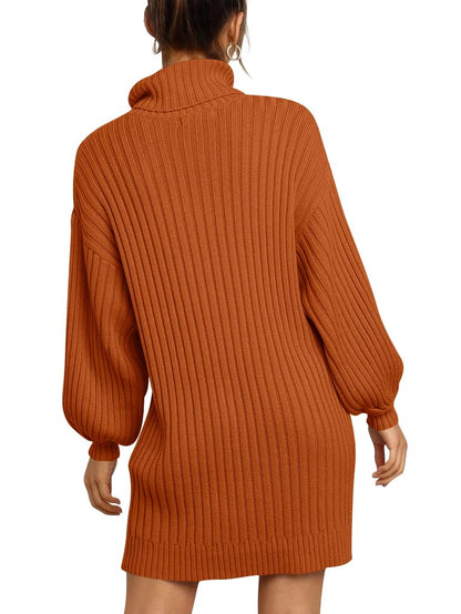 ANRABESS Women Oversized Sweater Dress Turtleneck Batwing Long Sleeve Ribbed Knit Loose 2024 Fall Winter Casual Short Dress
