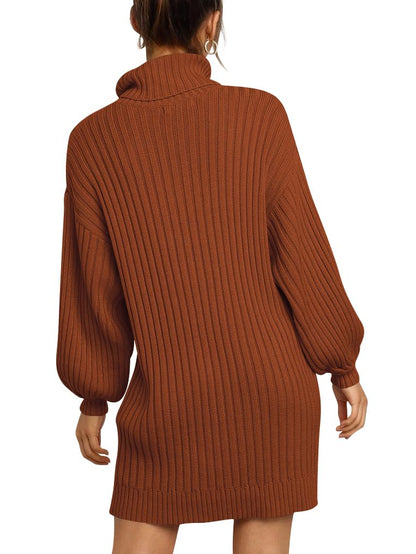 ANRABESS Women Oversized Sweater Dress Turtleneck Batwing Long Sleeve Ribbed Knit Loose 2024 Fall Winter Casual Short Dress