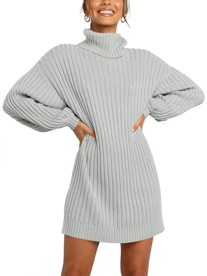 ANRABESS Women Oversized Sweater Dress Turtleneck Batwing Long Sleeve Ribbed Knit Loose 2024 Fall Winter Casual Short Dress
