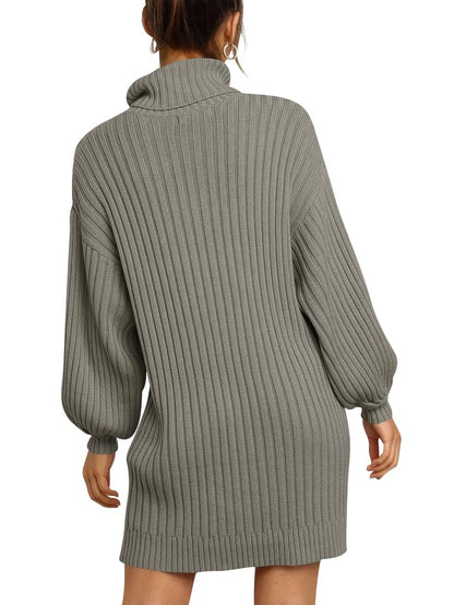ANRABESS Women Oversized Sweater Dress Turtleneck Batwing Long Sleeve Ribbed Knit Loose 2024 Fall Winter Casual Short Dress