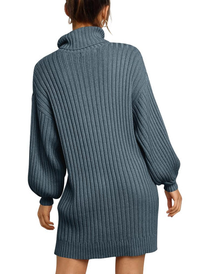 ANRABESS Women Oversized Sweater Dress Turtleneck Batwing Long Sleeve Ribbed Knit Loose 2024 Fall Winter Casual Short Dress