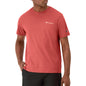Champion Men's T-Shirt, Classic Graphic T-Shirt, Soft and Comfortable T-Shirts for Men, Script Logo (Reg. or Big & Tall)