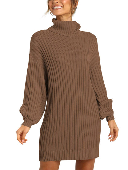 ANRABESS Women Oversized Sweater Dress Turtleneck Batwing Long Sleeve Ribbed Knit Loose 2024 Fall Winter Casual Short Dress