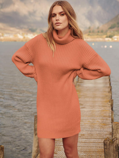 ANRABESS Women Oversized Sweater Dress Turtleneck Batwing Long Sleeve Ribbed Knit Loose 2024 Fall Winter Casual Short Dress