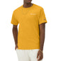 Champion Men's T-Shirt, Classic Graphic T-Shirt, Soft and Comfortable T-Shirts for Men, Script Logo (Reg. or Big & Tall)