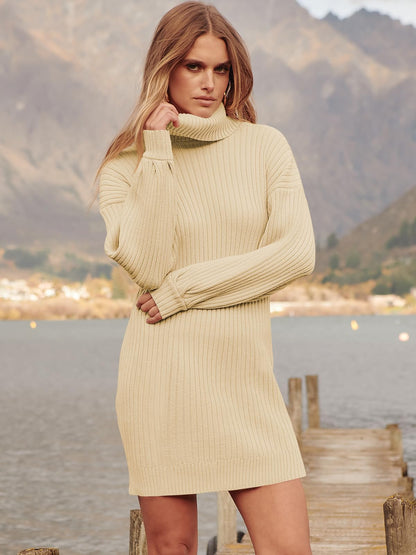 ANRABESS Women Oversized Sweater Dress Turtleneck Batwing Long Sleeve Ribbed Knit Loose 2024 Fall Winter Casual Short Dress