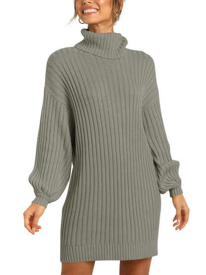 ANRABESS Women Oversized Sweater Dress Turtleneck Batwing Long Sleeve Ribbed Knit Loose 2024 Fall Winter Casual Short Dress