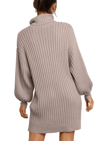 ANRABESS Women Oversized Sweater Dress Turtleneck Batwing Long Sleeve Ribbed Knit Loose 2024 Fall Winter Casual Short Dress