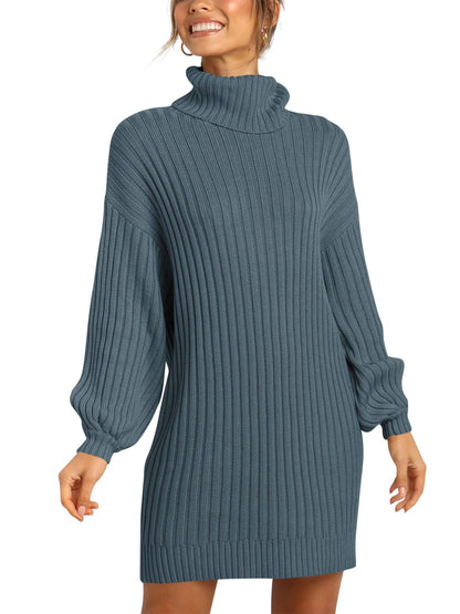 ANRABESS Women Oversized Sweater Dress Turtleneck Batwing Long Sleeve Ribbed Knit Loose 2024 Fall Winter Casual Short Dress
