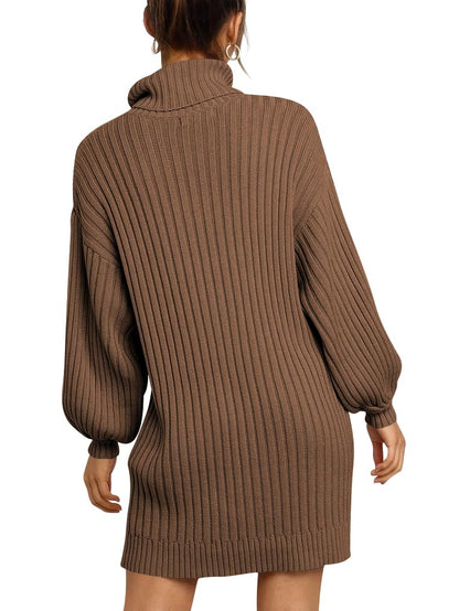 ANRABESS Women Oversized Sweater Dress Turtleneck Batwing Long Sleeve Ribbed Knit Loose 2024 Fall Winter Casual Short Dress