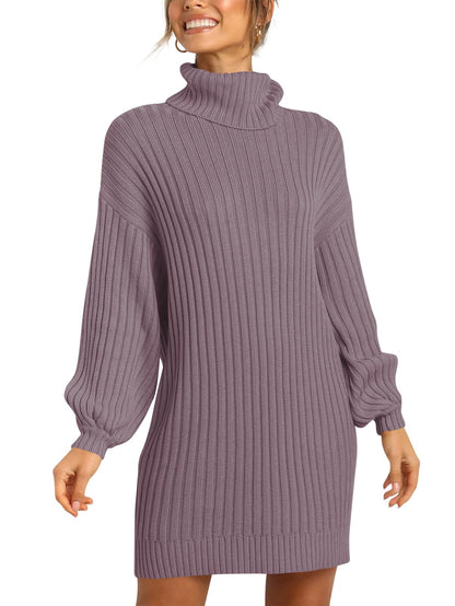 ANRABESS Women Oversized Sweater Dress Turtleneck Batwing Long Sleeve Ribbed Knit Loose 2024 Fall Winter Casual Short Dress
