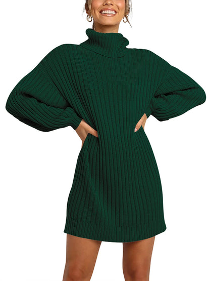 ANRABESS Women Oversized Sweater Dress Turtleneck Batwing Long Sleeve Ribbed Knit Loose 2024 Fall Winter Casual Short Dress