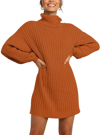 ANRABESS Women Oversized Sweater Dress Turtleneck Batwing Long Sleeve Ribbed Knit Loose 2024 Fall Winter Casual Short Dress