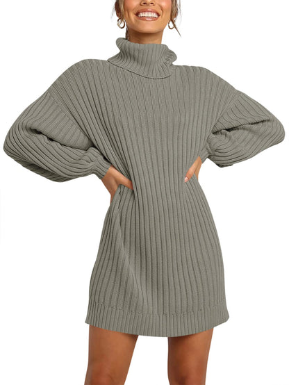 ANRABESS Women Oversized Sweater Dress Turtleneck Batwing Long Sleeve Ribbed Knit Loose 2024 Fall Winter Casual Short Dress