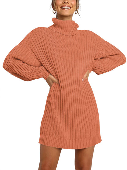 ANRABESS Women Oversized Sweater Dress Turtleneck Batwing Long Sleeve Ribbed Knit Loose 2024 Fall Winter Casual Short Dress