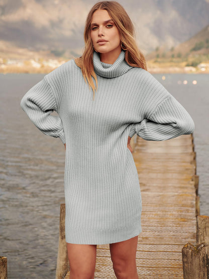 ANRABESS Women Oversized Sweater Dress Turtleneck Batwing Long Sleeve Ribbed Knit Loose 2024 Fall Winter Casual Short Dress