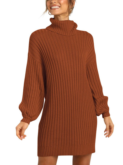 ANRABESS Women Oversized Sweater Dress Turtleneck Batwing Long Sleeve Ribbed Knit Loose 2024 Fall Winter Casual Short Dress