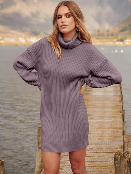 ANRABESS Women Oversized Sweater Dress Turtleneck Batwing Long Sleeve Ribbed Knit Loose 2024 Fall Winter Casual Short Dress