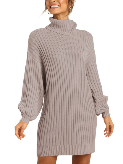 ANRABESS Women Oversized Sweater Dress Turtleneck Batwing Long Sleeve Ribbed Knit Loose 2024 Fall Winter Casual Short Dress