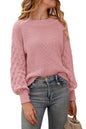 PRETTYGARDEN Women's 2024 Winter Pullover Sweater Casual Long Sleeve Crewneck Loose Chunky Knit Jumper Tops Blouse