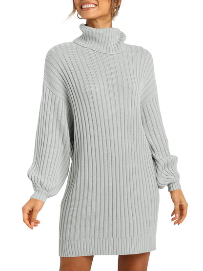 ANRABESS Women Oversized Sweater Dress Turtleneck Batwing Long Sleeve Ribbed Knit Loose 2024 Fall Winter Casual Short Dress